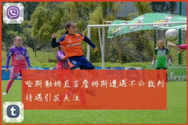 哈斯勒姆直言詹姆斯遭遇不公裁判待遇引发关注