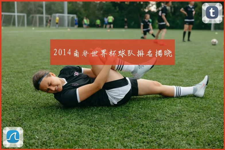 2014南非世界杯球队排名揭晓