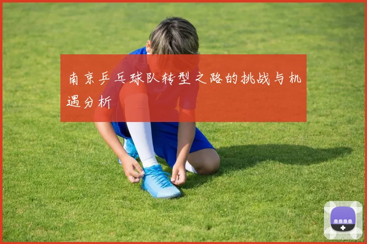 南京乒乓球队转型之路的挑战与机遇分析